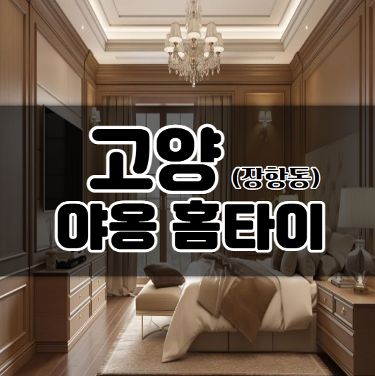 야옹홈타이
